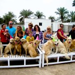 Delmon_Kennels_Fun_Extras-4