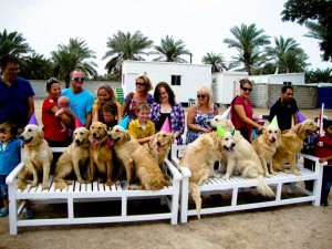 Delmon_Kennels_Fun_Extras-4