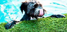 Swimming Pool Gallery – 01