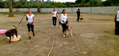Group Training