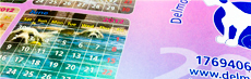 Homepage