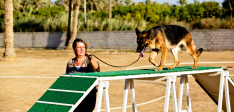 Training Gallery – 01