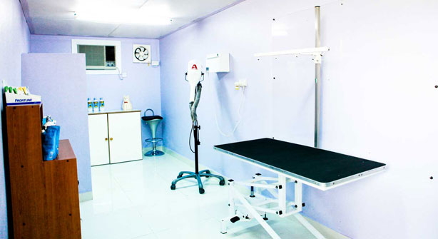 Facilities-01